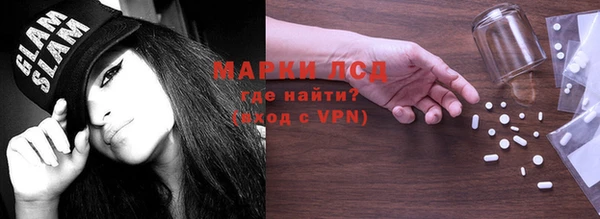 прущие грибы Абинск