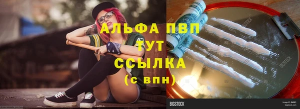 прущие грибы Абинск