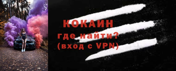прущие грибы Абинск