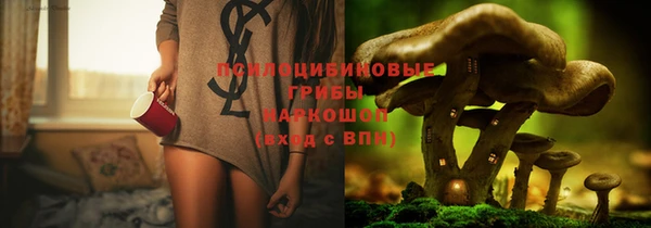 гидропоника Алексеевка