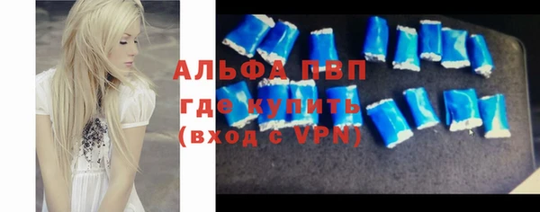 прущие грибы Абинск