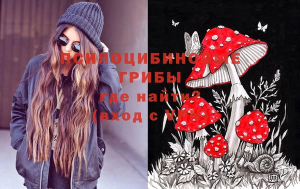 круглые Абаза
