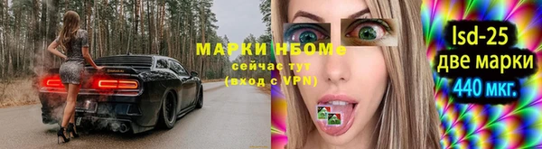 прущие грибы Абинск